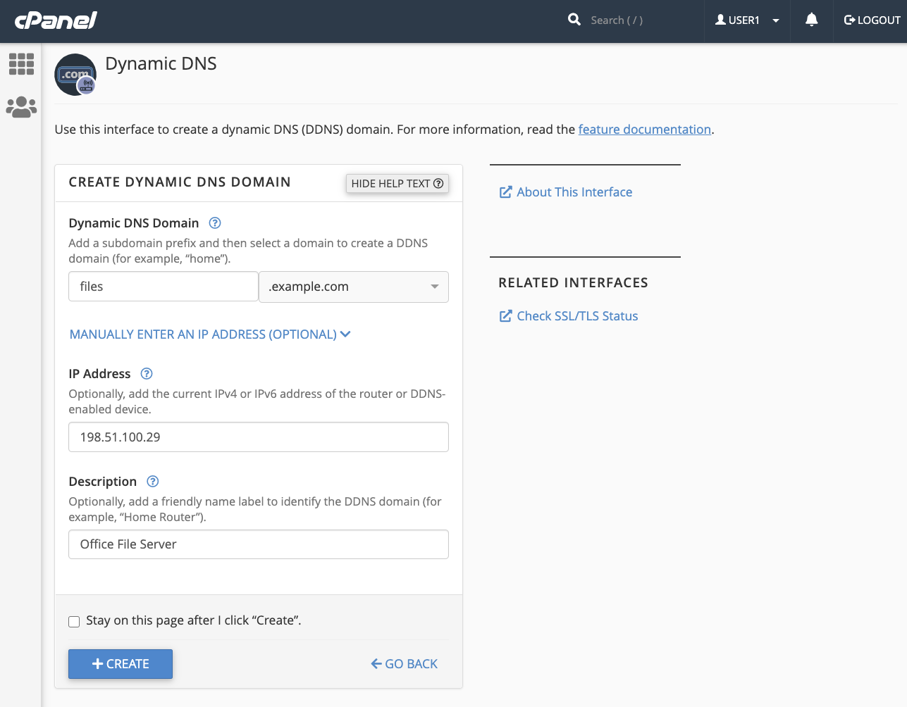 Panel Choose Dynamic DNS